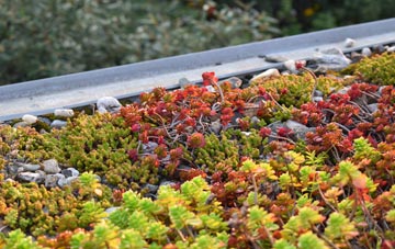 the cost of Moor Of Granary green roof installation