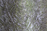 Moor Of Granary fibreglass roof work